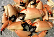 Omaha Seafood Restaurants