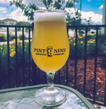 Pint 9 Brewing Company